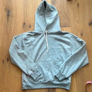 Aritzia Sunday Best Hoodie